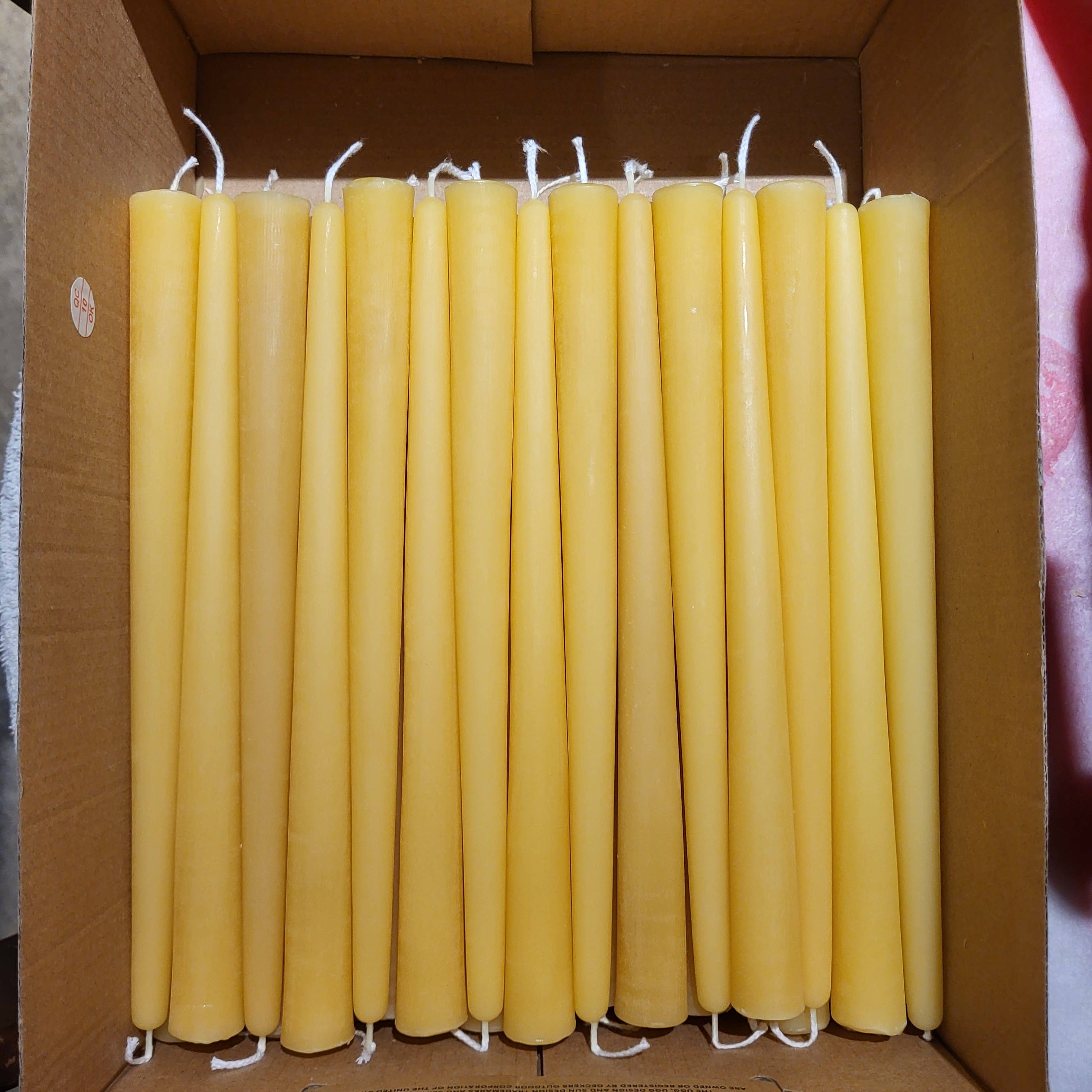 Different Branches - Wholesale Tapered candle/candlestick - Handmade single 9 in pure beeswax candle stick - NO LABELS3