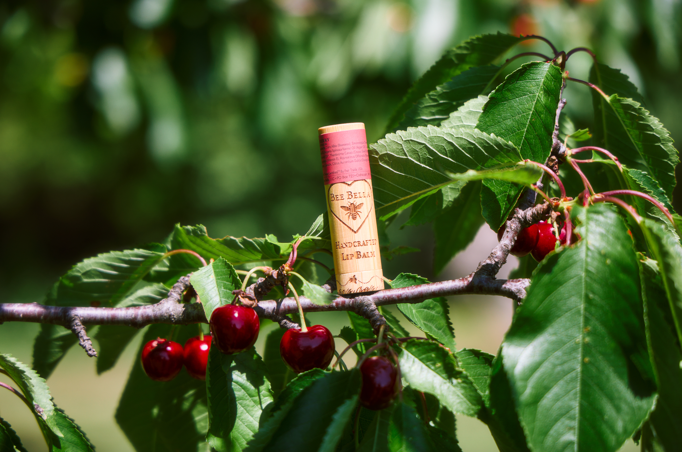 Bee Bella - Wholesale Lip Balm - Cherry Lip Balm  |  6 Pack9