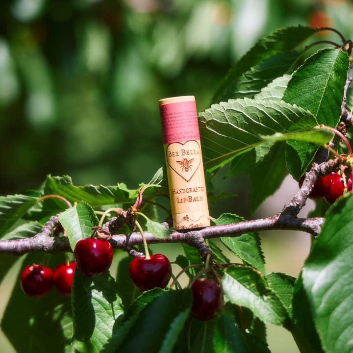 Bee Bella - Wholesale Lip Balm - Cherry Lip Balm | 6 Pack9