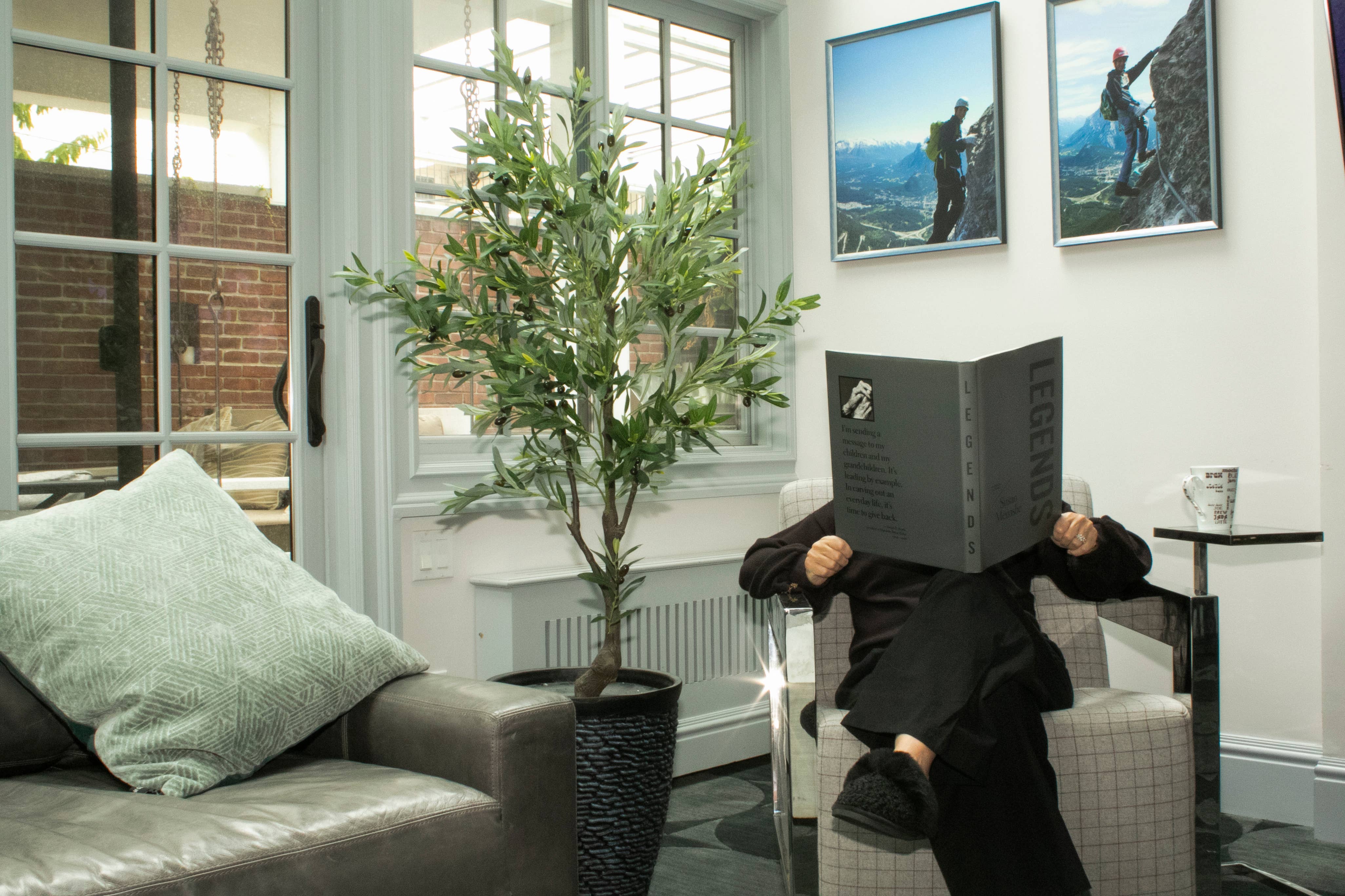 Vintage Home - Wholesale Artificial Plant - 60" Fake Olive Tree with Eco Planter2