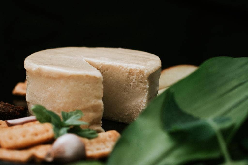 Quevana - La Quesería Vegana – Engroshandel Ost – Semi-modnet cashewost med hvidløgsolie (økologisk og vegansk)1