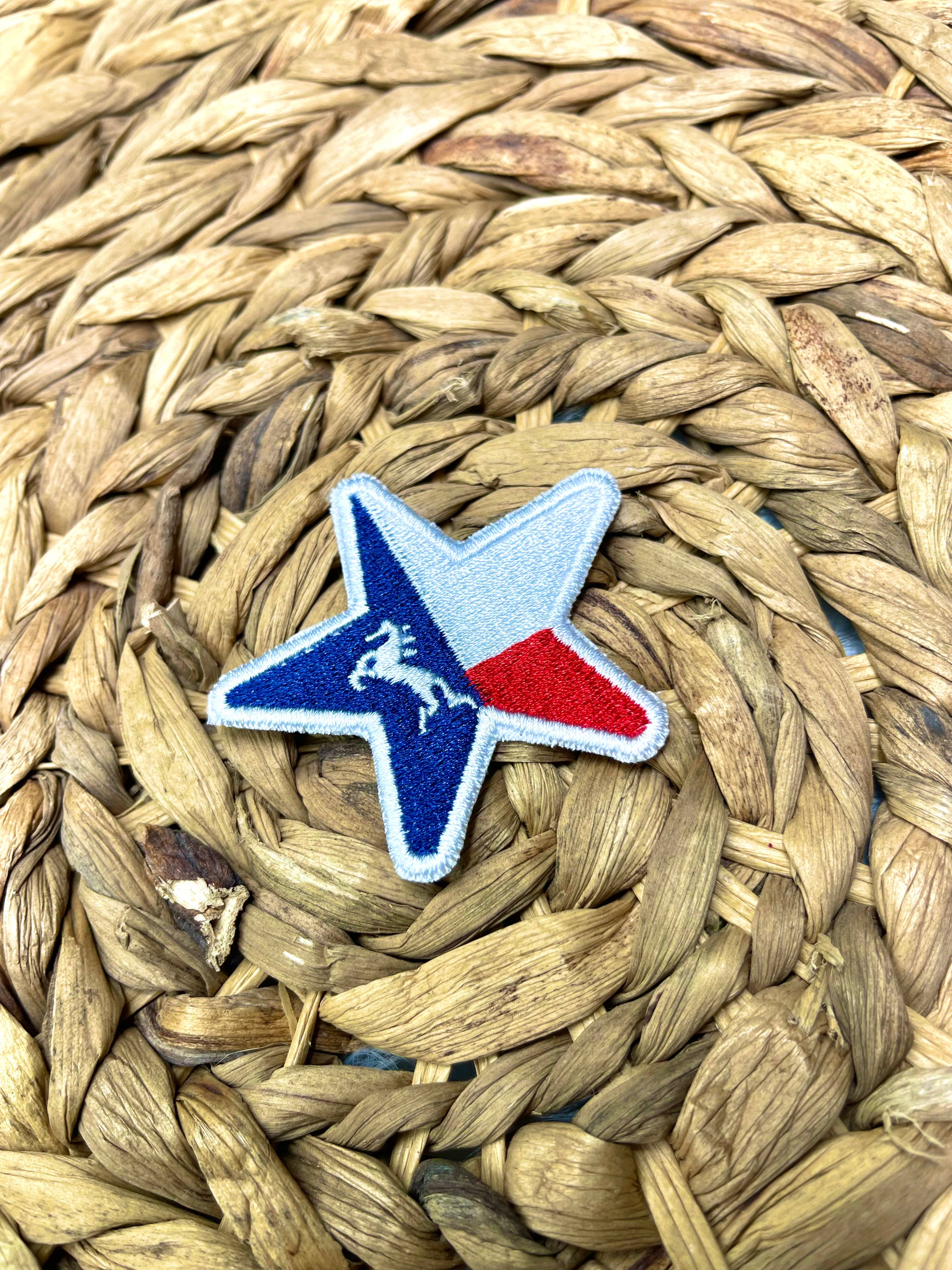 Crafty Pynk Scorpion - Venta al por mayor Parches - Parche bordado para planchar con estampado de Beyonce Cowboy Carter Act II TX Star