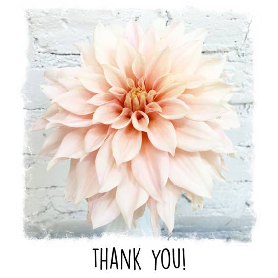 Paperlove Boutique - Wholesale Thank You Card - Thank You - Blush Dahlia1