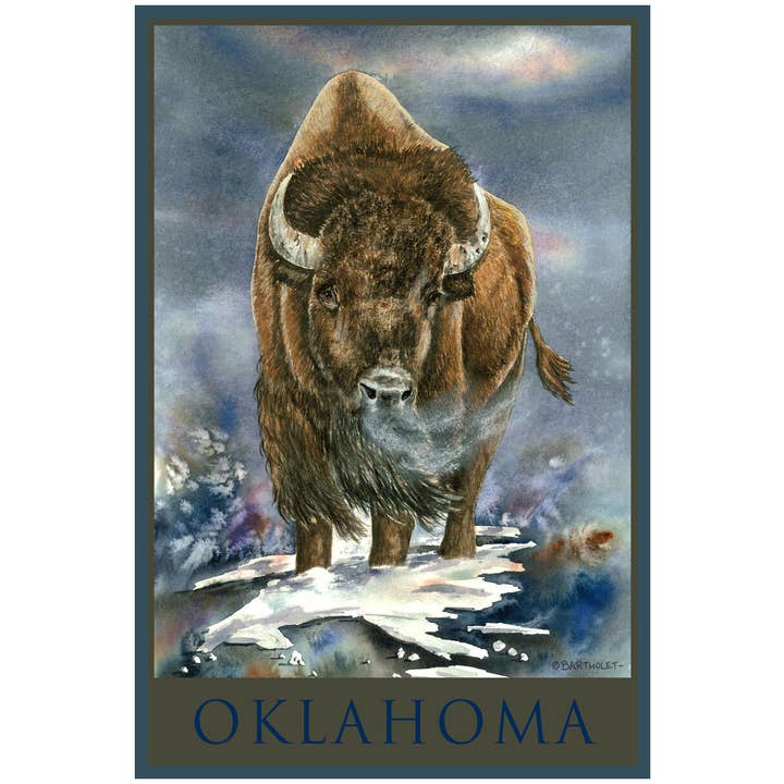 Aimant BA Bison d'Oklahoma pour la vente par Kalan Souvenir