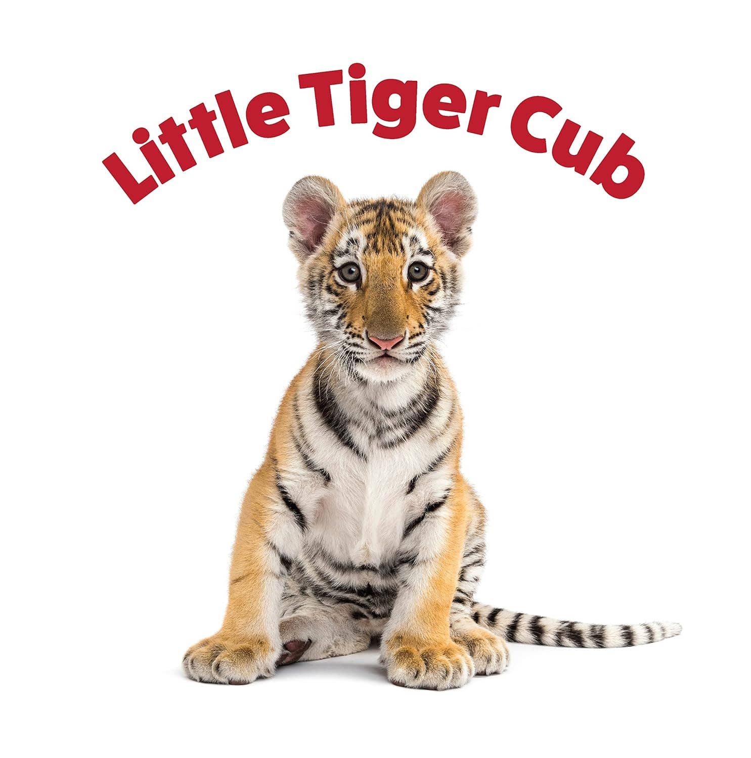 Fox Chapel Publishing - Wholesale Baby & Toddler Book (0-2) - Peek and See Baby Animals - All Grown Up - Baby Board Book1