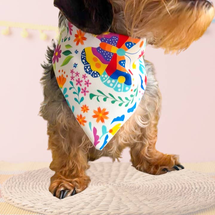 BLUE FEATHER SHOP - Wholesale Pet Bandana - Dog - Handmade Dog Bandana From Mexican Fabric. Butterfly design