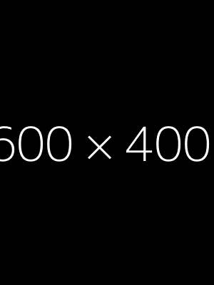 Santa and Cardinal Card for wholesale by Iddy biddy boo design