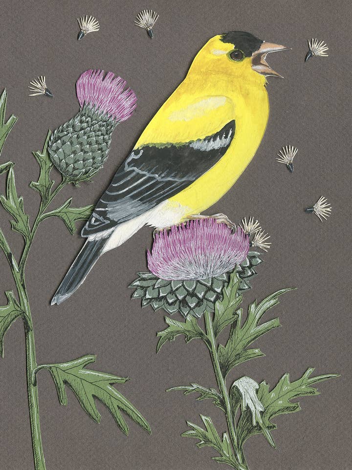 Biglietto di auguri Goldfinch in Thistle, bianco, 12,7 x 14,6 cm per la vendita all'ingrosso da parte di Johanna Finnegan-Topitzer