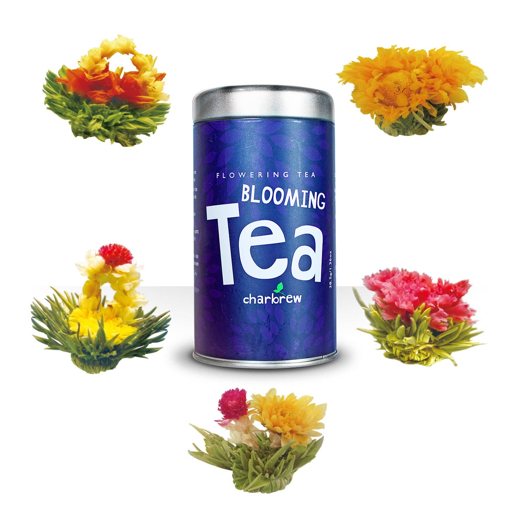 Charbrew Tea & Coffee – wholesale Loose tea – 5x Blooming Tea Flower Bulbs1