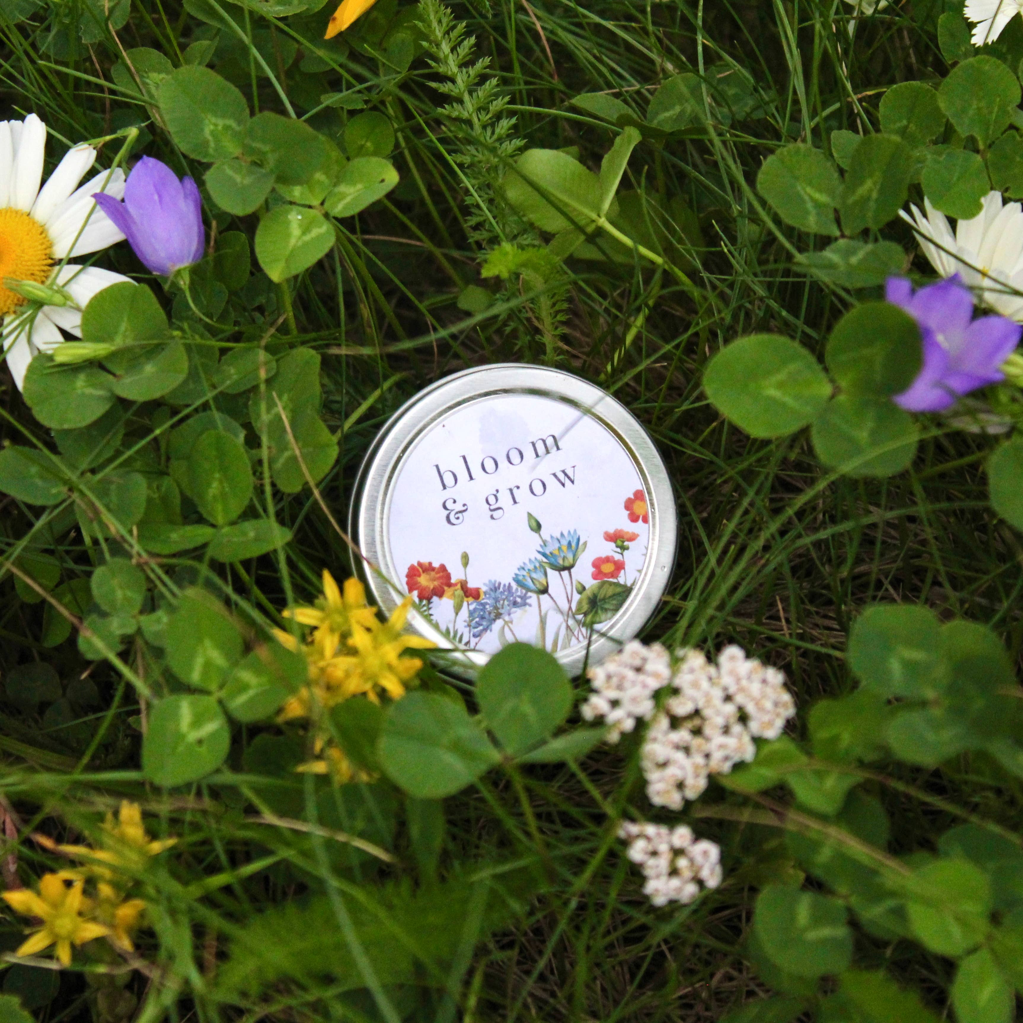 Idea Chic - Wholesale Plant Seeds - Wildflower Seed Tins5