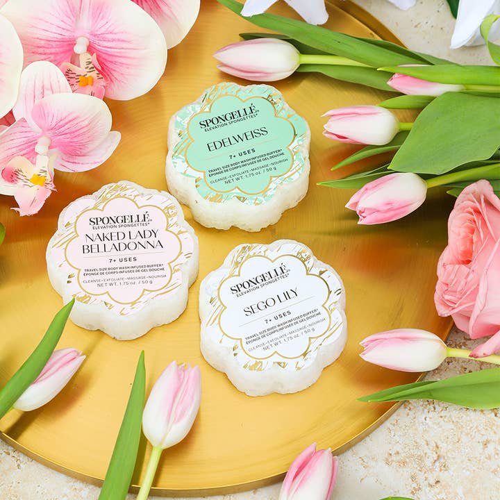 Spongellé - Wholesale Bath Pouf/Sponge - Elevation Spongette Assorted Pack  | Soap Sponge | Soap Buff