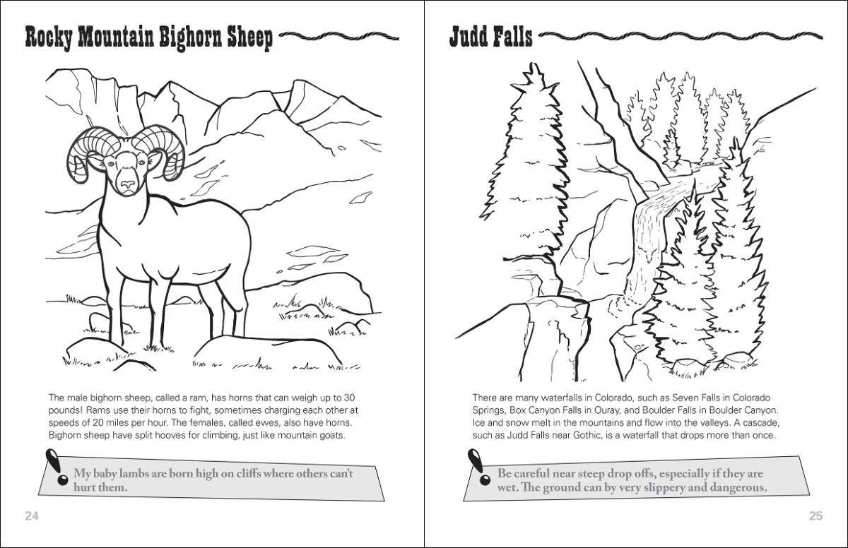 AdventureKEEN - Wholesale Coloring Book - Kids & Baby - Colorado Activity Book3