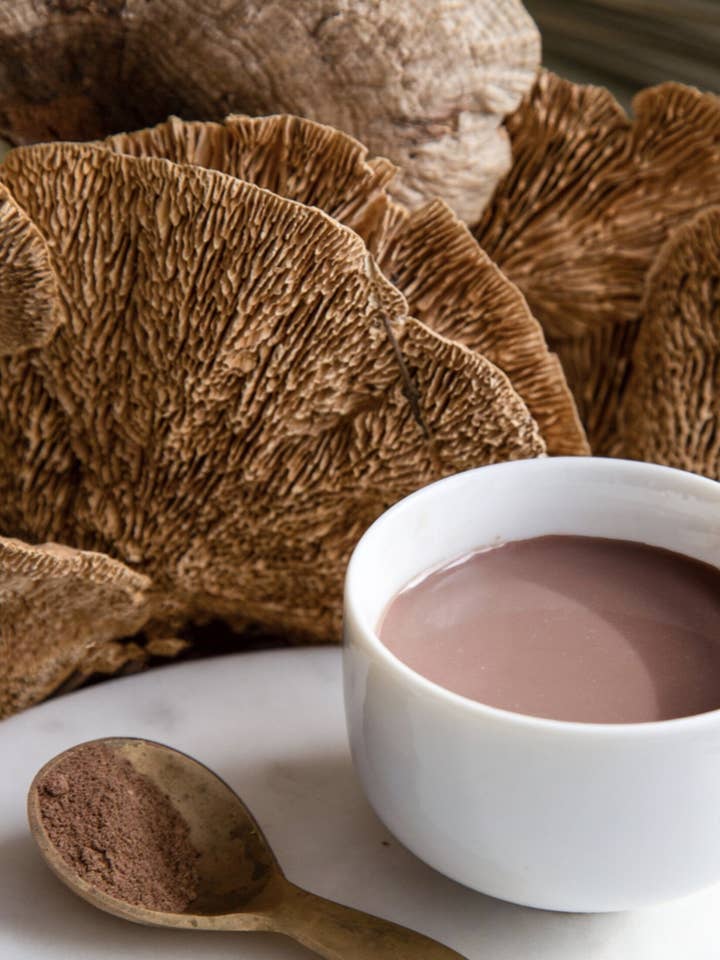 Super Shrooms - Medicinal Mushroom Blend for wholesale by Of The Earth Apothecary