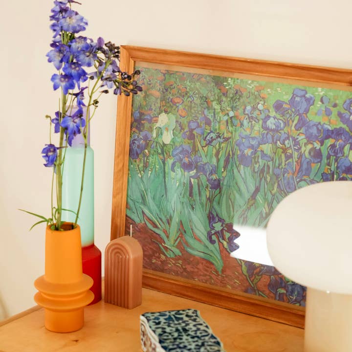 Íris, de Vincent van Gogh - Kit Self-care Paint by Numbers por atacado de Winnie's Picks