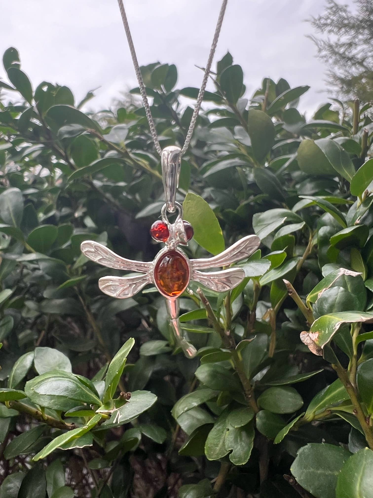 GSZ corporation DBA Gabriella's Gifts - Venta al por mayor Collares con colgantes/abalorios - Collar con colgante de ámbar DRAGONFLY, 1.25 pulgadas5