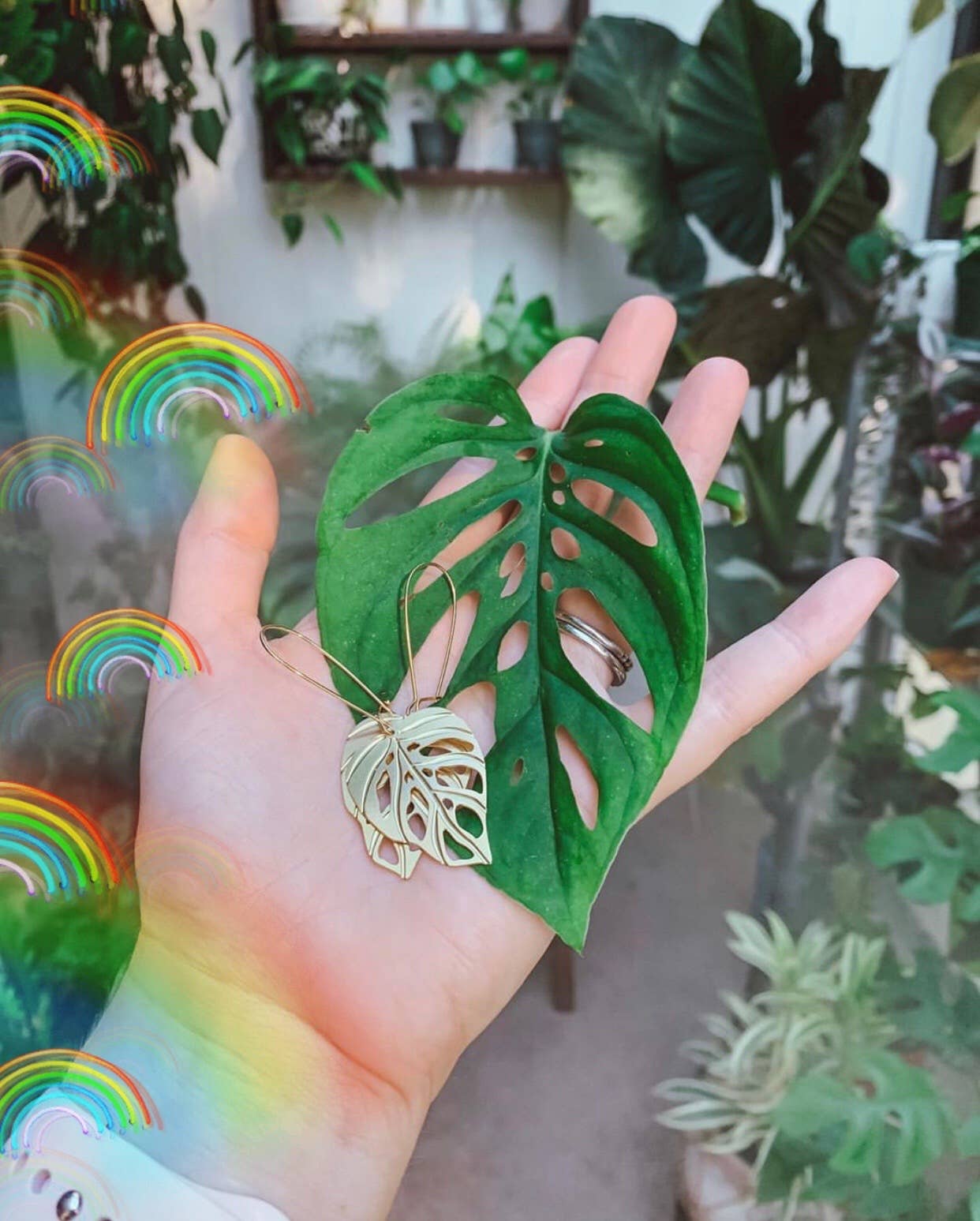 A Tea Leaf Jewelry - Wholesale Dangle Earrings - Monstera Adansonii Leaf Earrings7