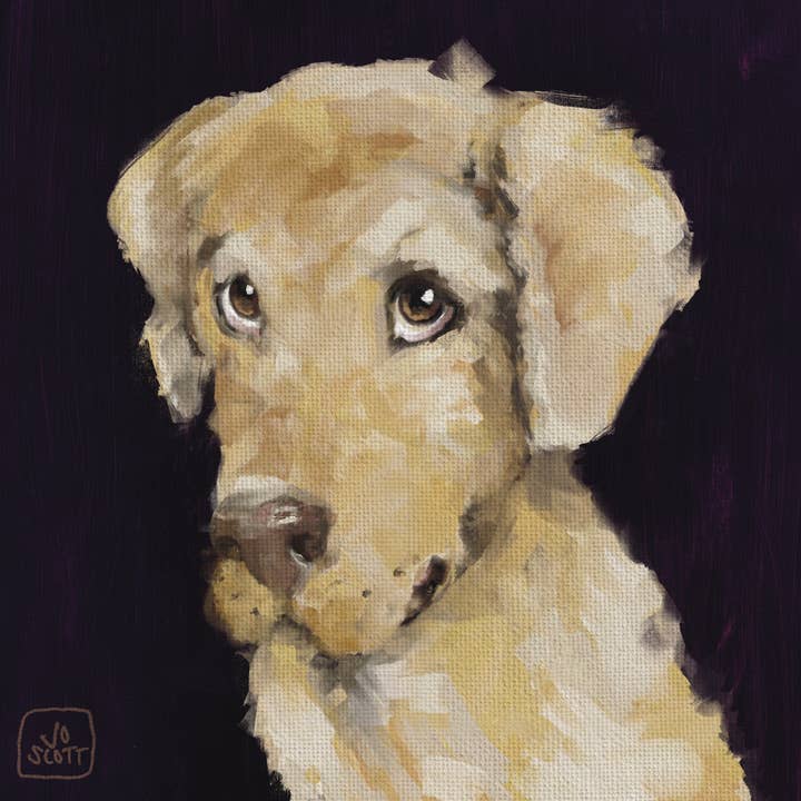 Lucy the Labrador Fine Art Print for wholesale by Jo Scott Art