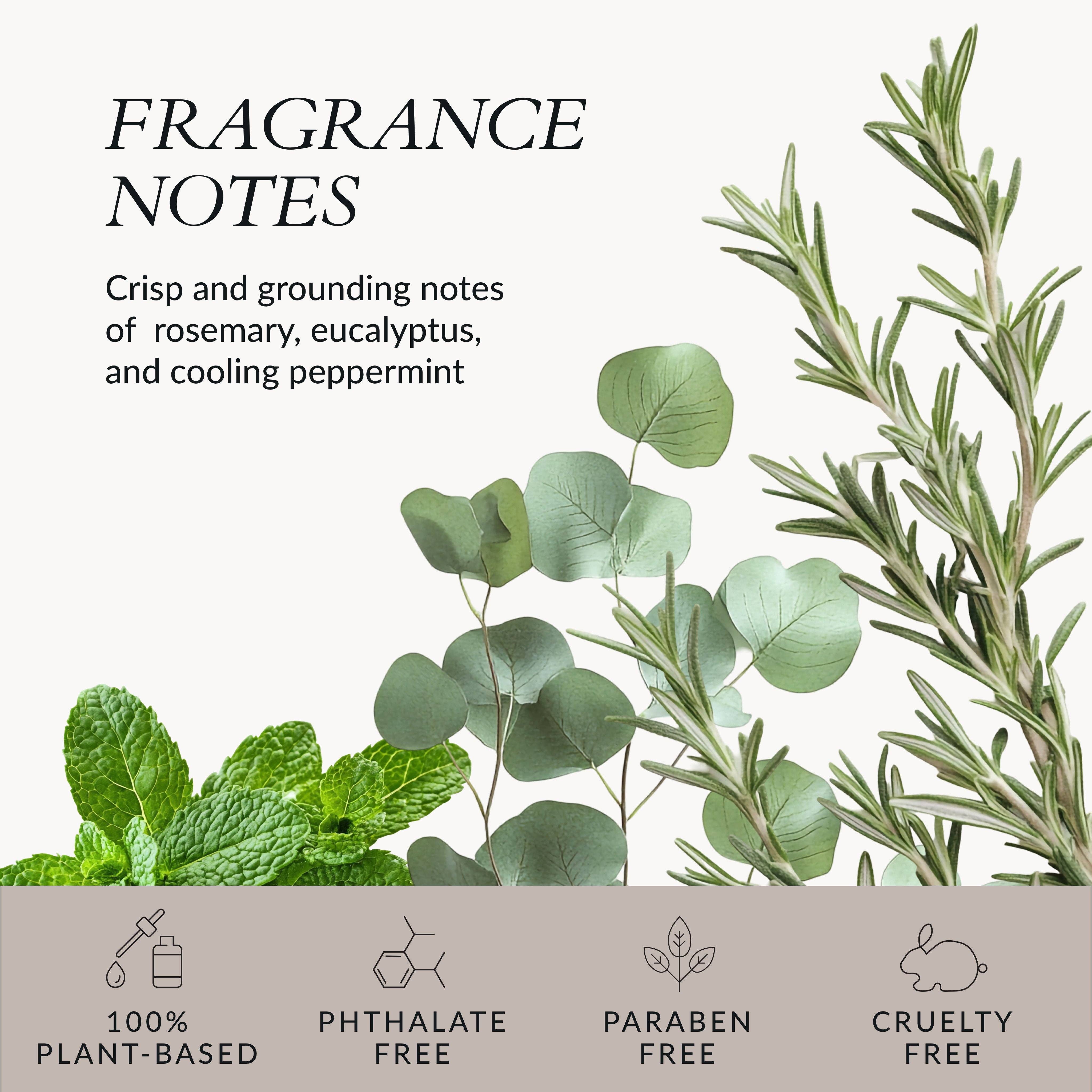 Jazeena - Wholesale Scalp/Hair Treatment - Hair Strengthening Scalp Oil | Rosemary, Magnolia Bark 55ml6