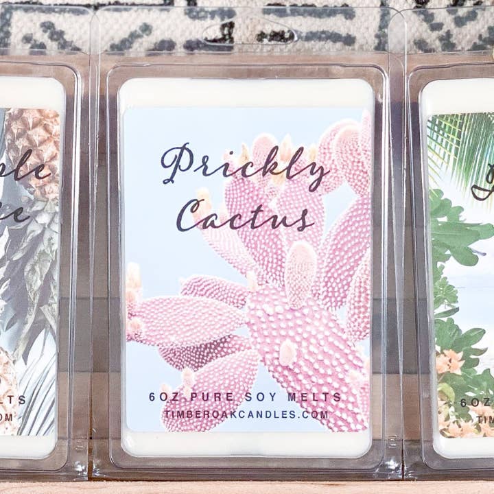 PRICKLY CACTUS | 6oz Large Melt | 100% Pure Soy for wholesale by Timber Oak Candles