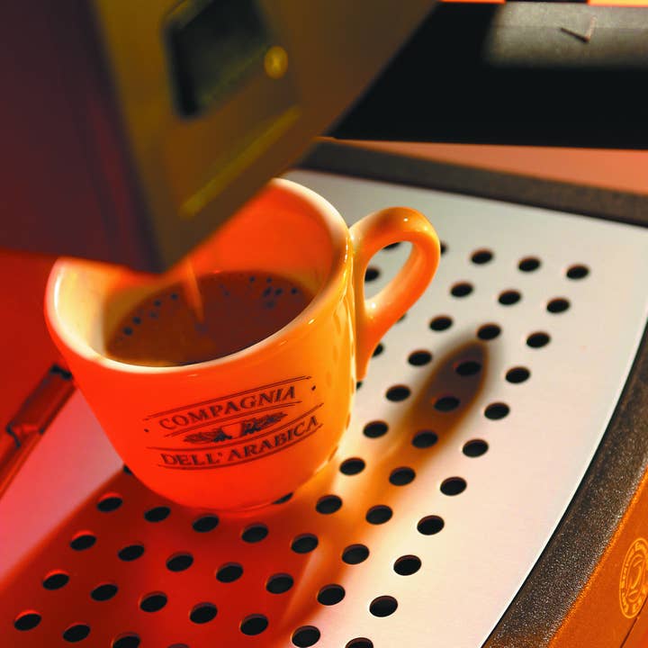 Caffè Corsini - Vendita all'ingrosso Cialde caffè - 60 capsule compatibili Nespresso® | Gran Riserva Intenso