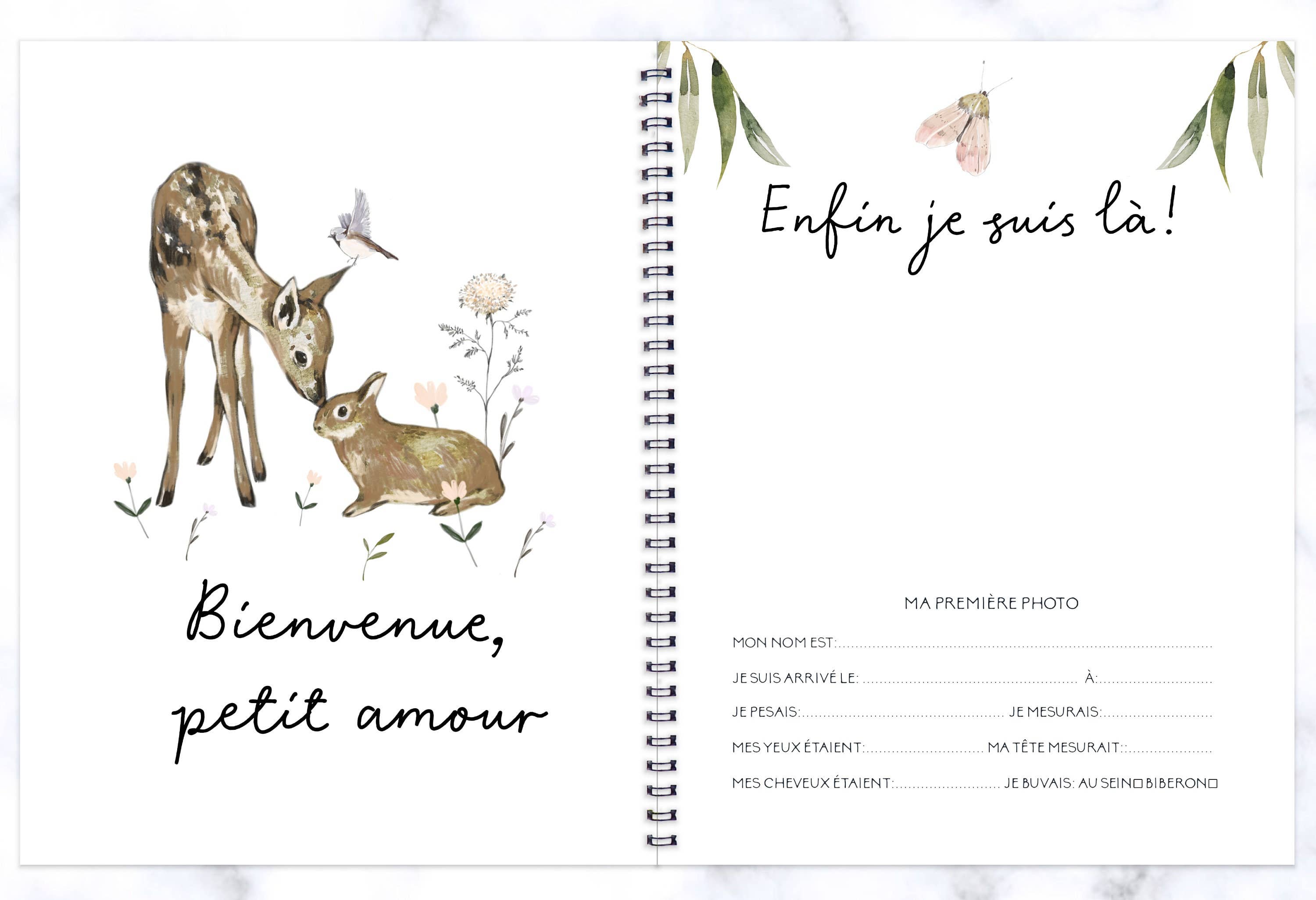 Rainbows&Lollipops Inc - Wholesale Memory Book - Kids & Baby - Journal de Grossesse et Livre de Naissance Unisexe #205