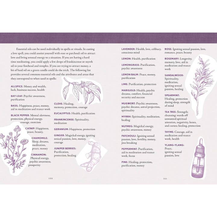 Hachette Book Group - Wholesale Planner - The Good Witch's Perpetual Planner by Shawn Robbins7