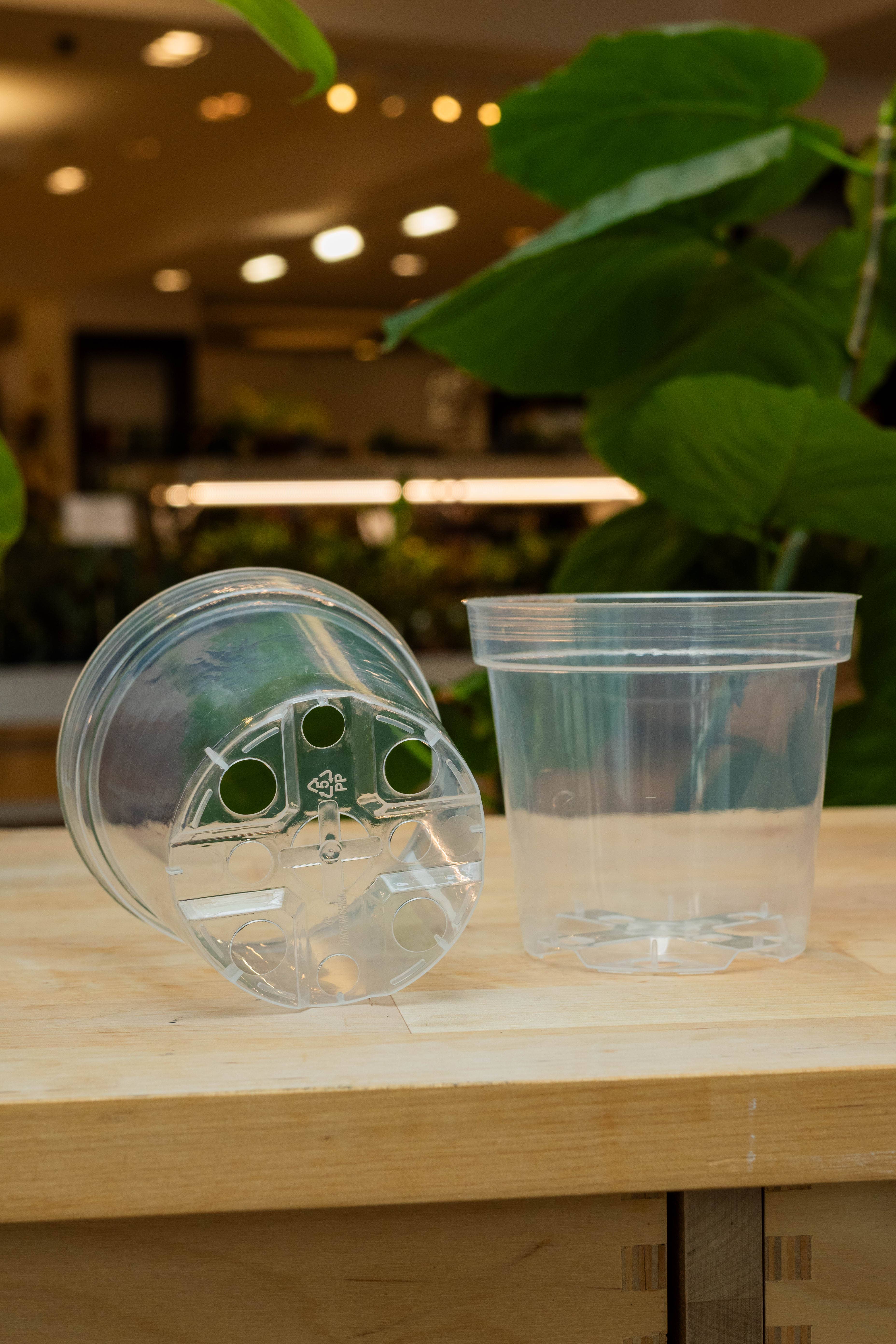 Lost in the Forrest - Wholesale Plant Pot - Clear Grower Pot3