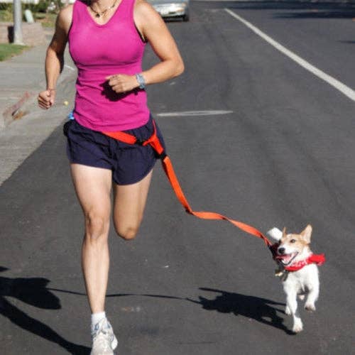 Handsfree Runner/Walker Waist hondenriem reflecterend voor wholesale door Moondidley Pets