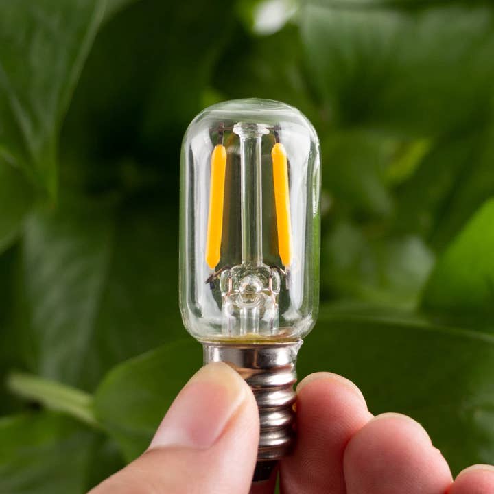 YI LIGHTING LLC - Wholesale Light Bulb/Puck - 1W T22 T7 LED Bulbs Salt lamp Replacement Bulbs Glass 2700K1