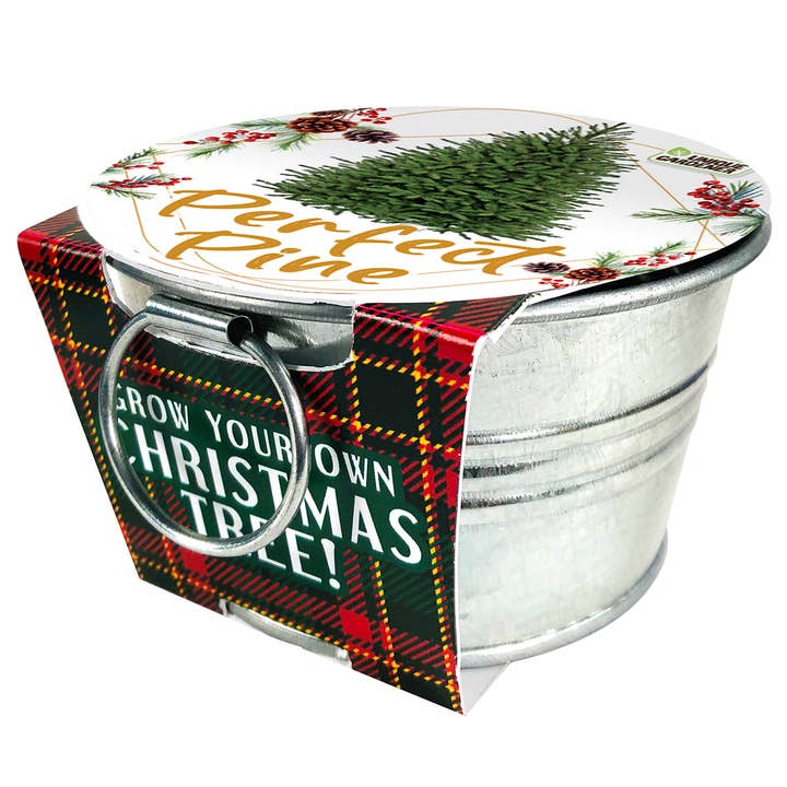 Silver Circle Products - Wholesale Retailer Display - Kids & Baby - Perfect Pines 24 Piece Counter Display