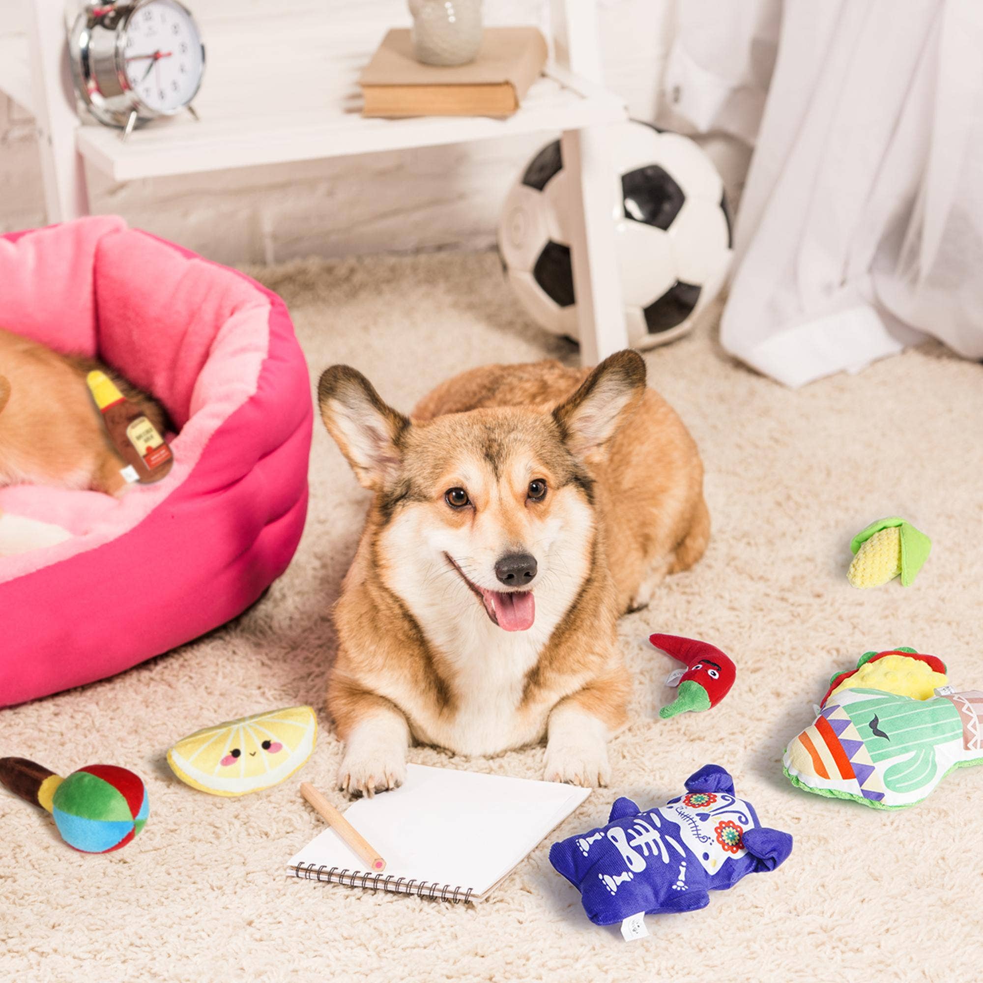 Nocciola - Vente Jouet couineur – chien - Nocciola 8 PCS Jouet pour chien en peluche à thème mexicain avec couineur3