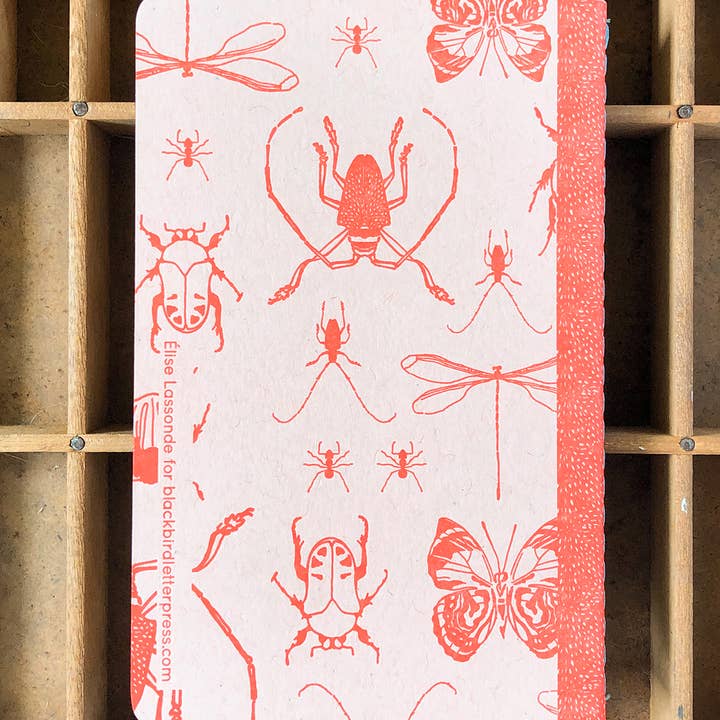 Blackbird Letterpress - Wholesale Notebook - Insects notebook3
