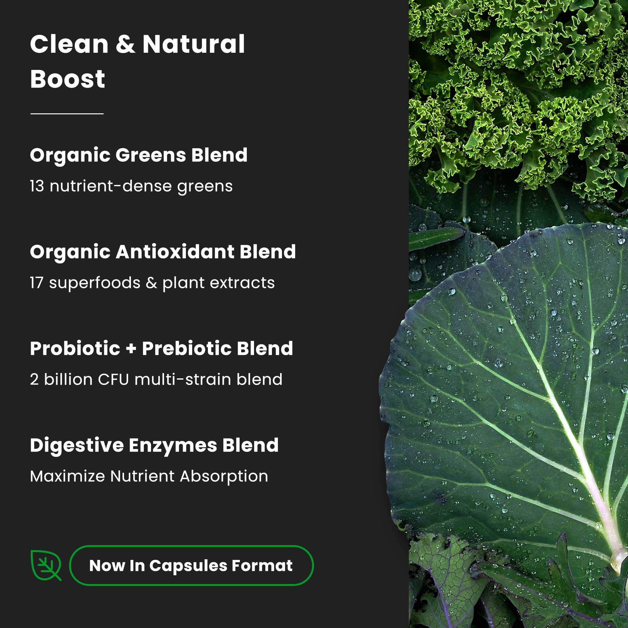 NutraChamps - Wholesale Oral Supplement/Vitamin - Super Greens Capsules - 40+ Superfoods & Greens6