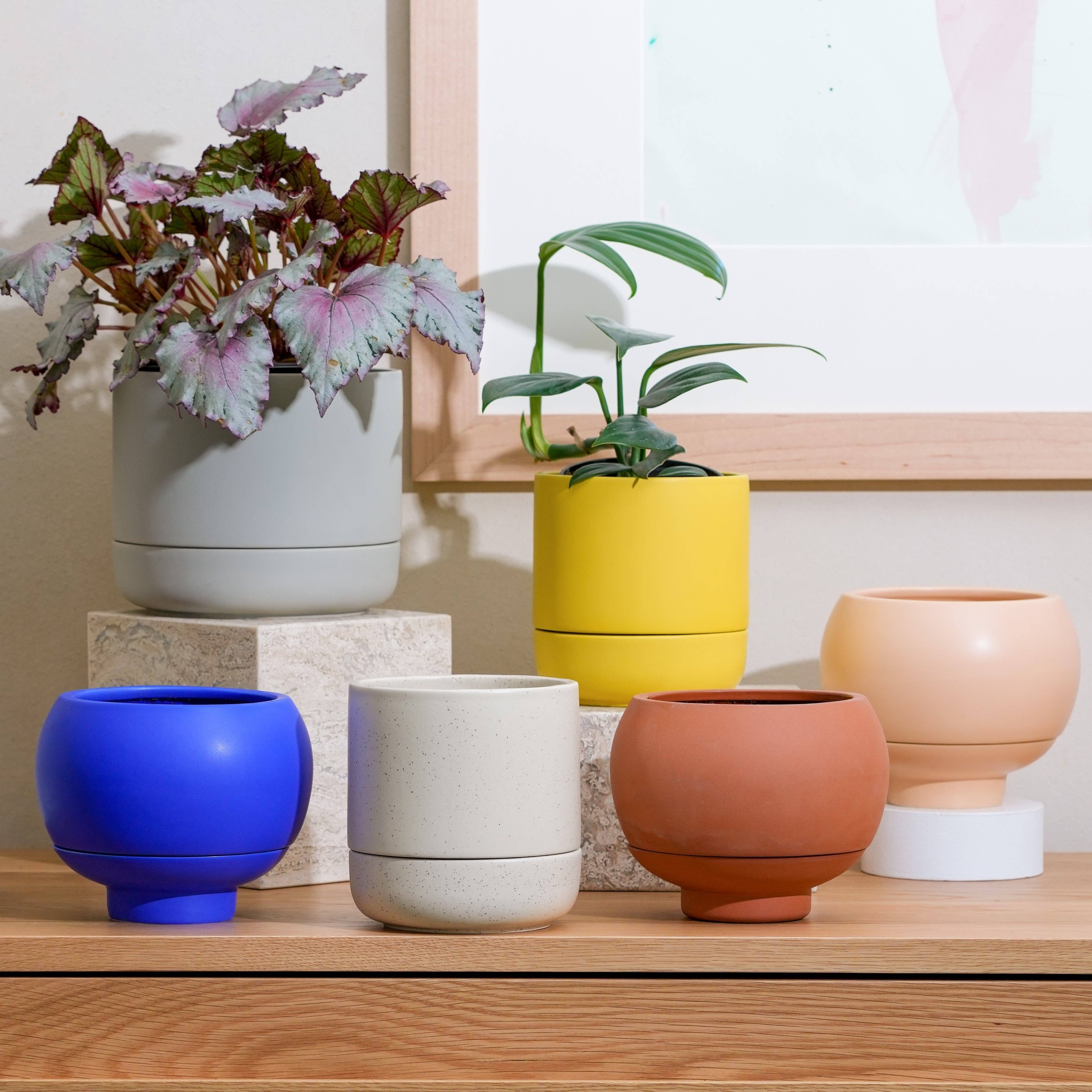 Greenery Unlimited - Wholesale Plant Pot - Sutton 15 Ceramic Self Watering Pot17