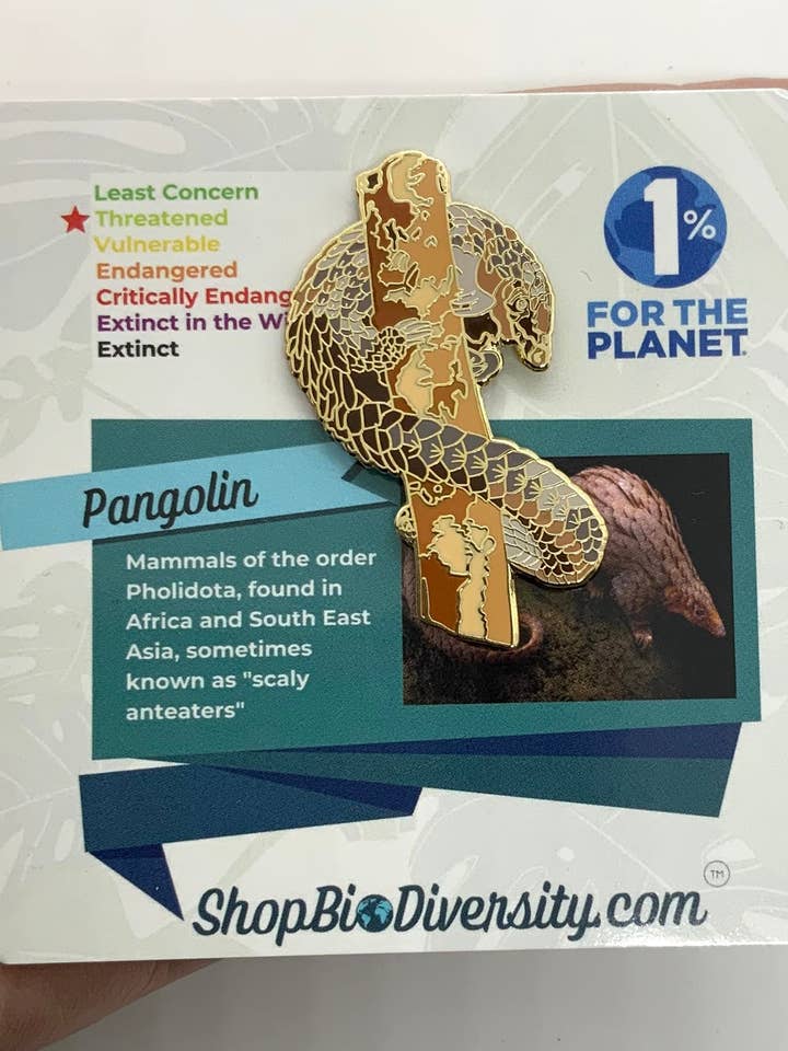 Pin de Esmalte de Pangolim - Presente de Conservação da Vida Selvagem por atacado de Shop BioDiversity
