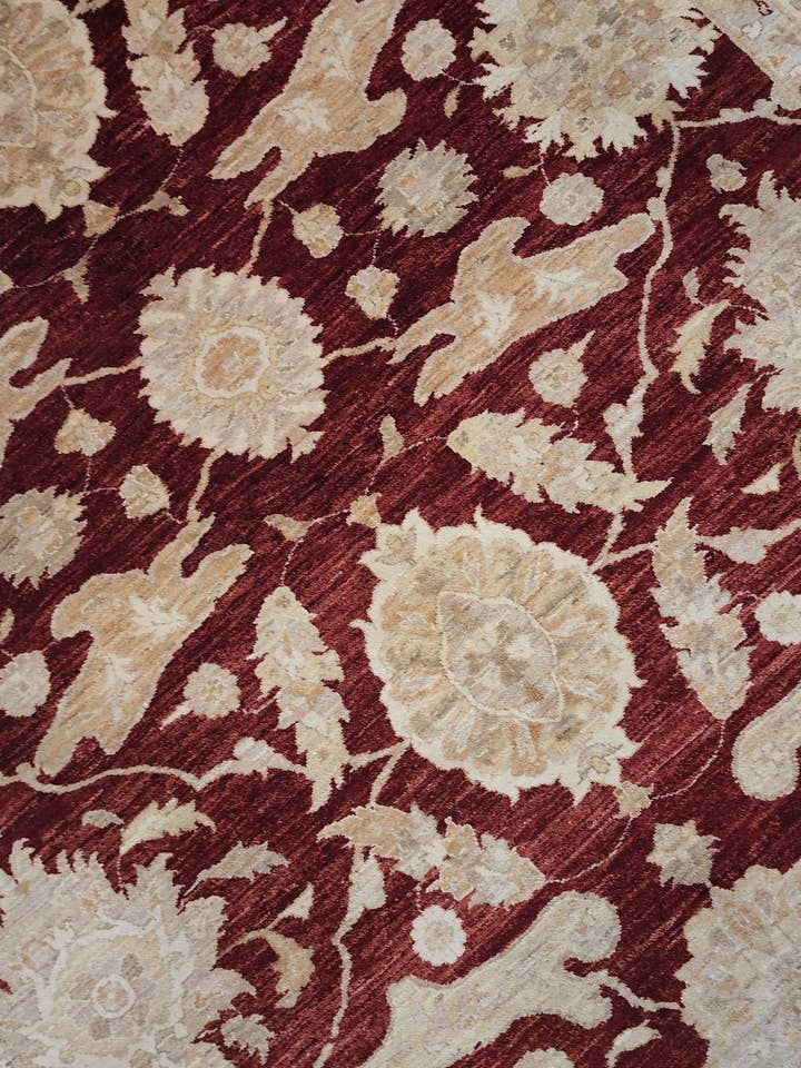 Afghaans T Wash voor wholesale door John Ahmad