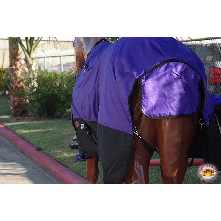 HILASON - Wholesale Horseback Riding Gear - HILASON 600D Winter Waterproof Poly Horse Blanket Belly Wrap Purple | Turnout Blankets for Horses6