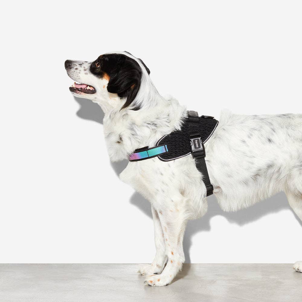 Hundog - Official zee.dog distributor - Wholesale Pet Harness - Dog - Harness with handle - Flyharness Gotham1