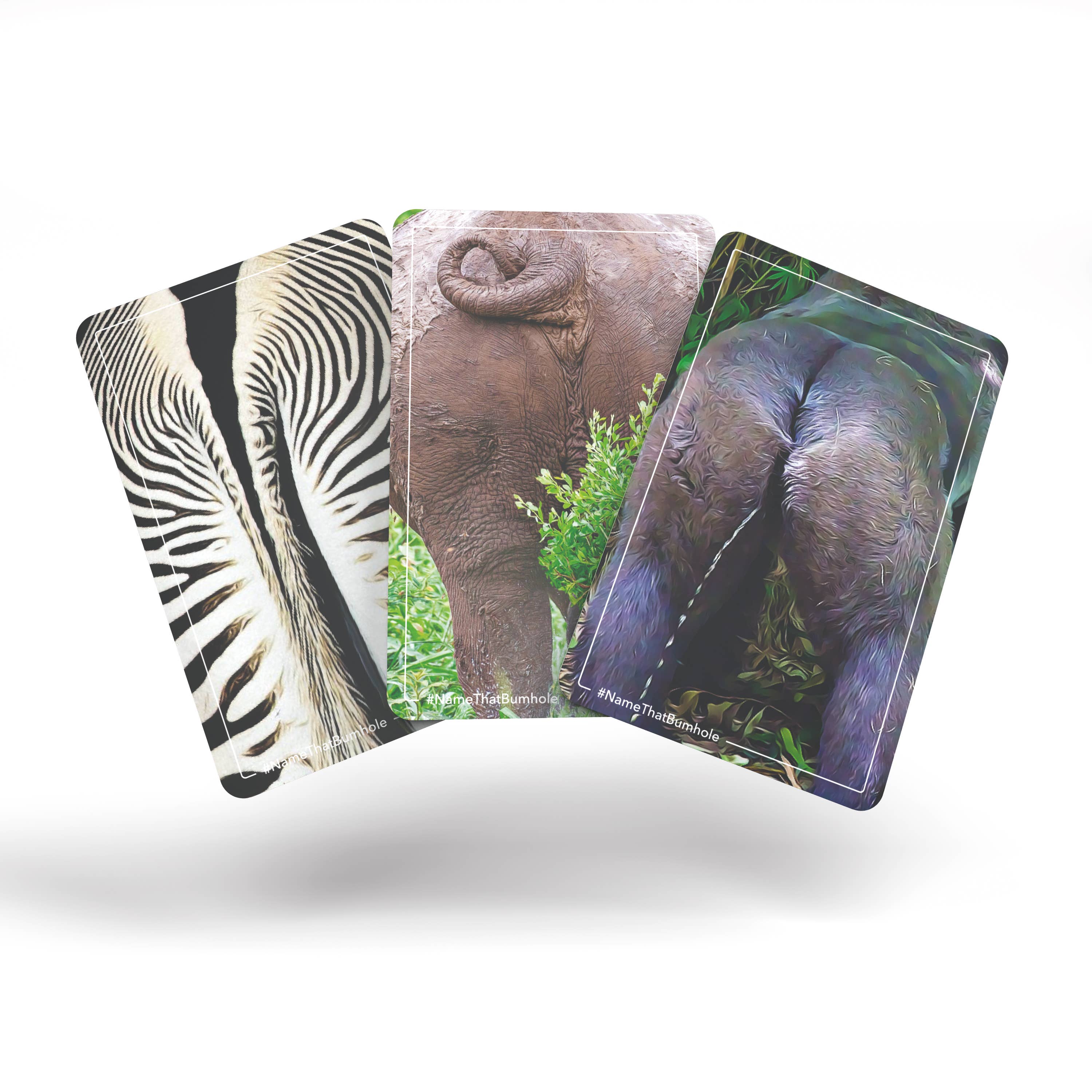 Bubblegum Stuff UK – Großhandel Kartenspiele – Name That Bumhole | Lustiges Familien-Flashcard-Trivia-Spiel4