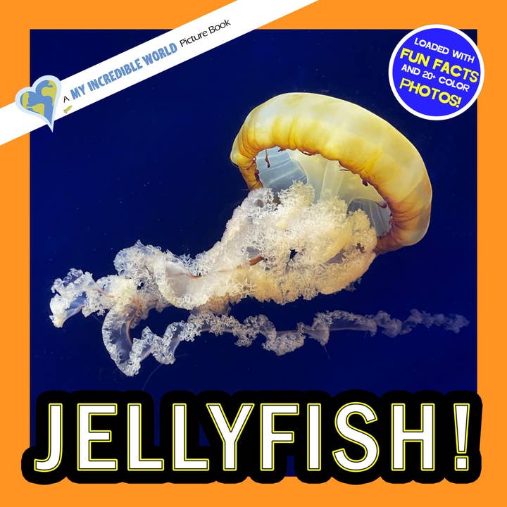 Jellyfish! A My Incredible World Picture Book for Children for wholesale by My Incredible World