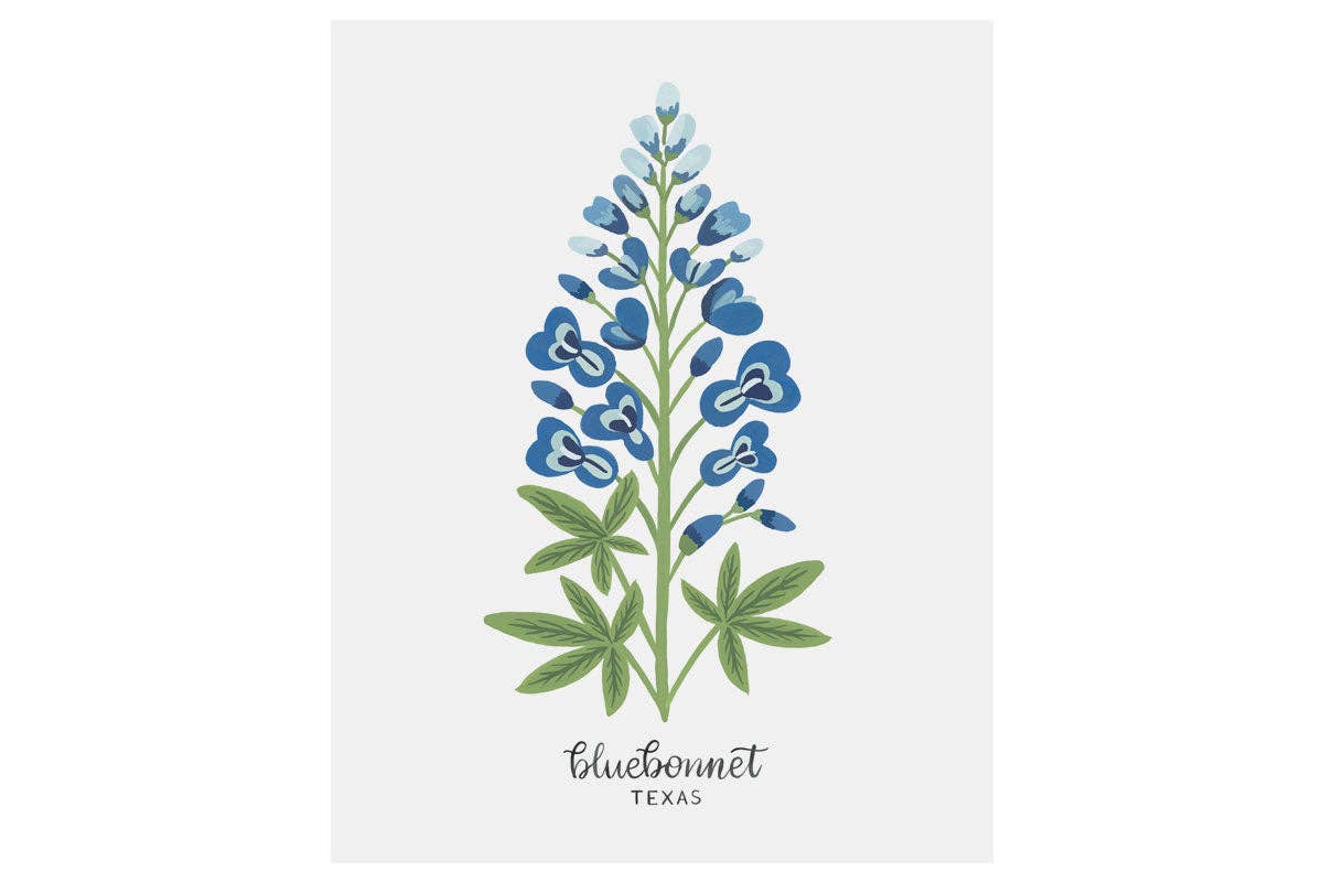 LoveLight Paper – wholesale Art print – Texas Bluebonnet - State Flower Art Print1