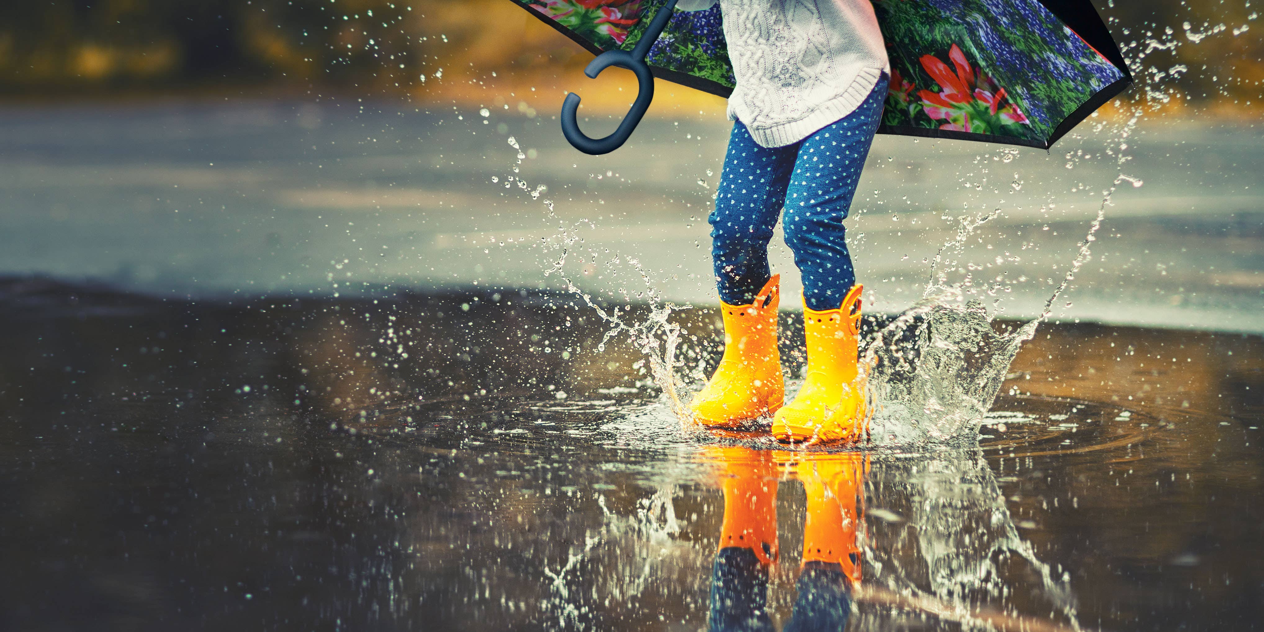 Nupouch / Nufoot - Vente Parapluie – femme - Parapluie inversé Topsy Turvy - 31 couleurs et motifs magnifiques59