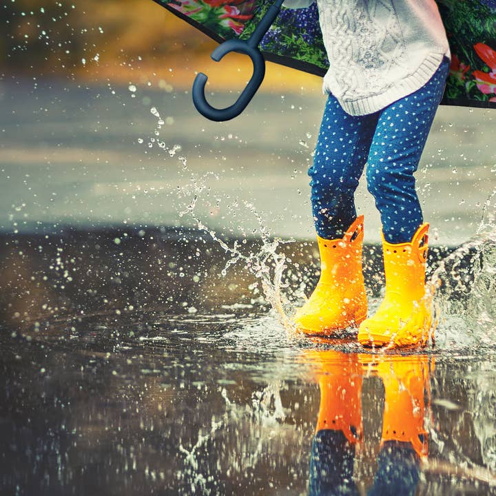 Nupouch / Nufoot - Vente Parapluie – femme - Parapluie inversé Topsy Turvy - 31 couleurs et motifs magnifiques59