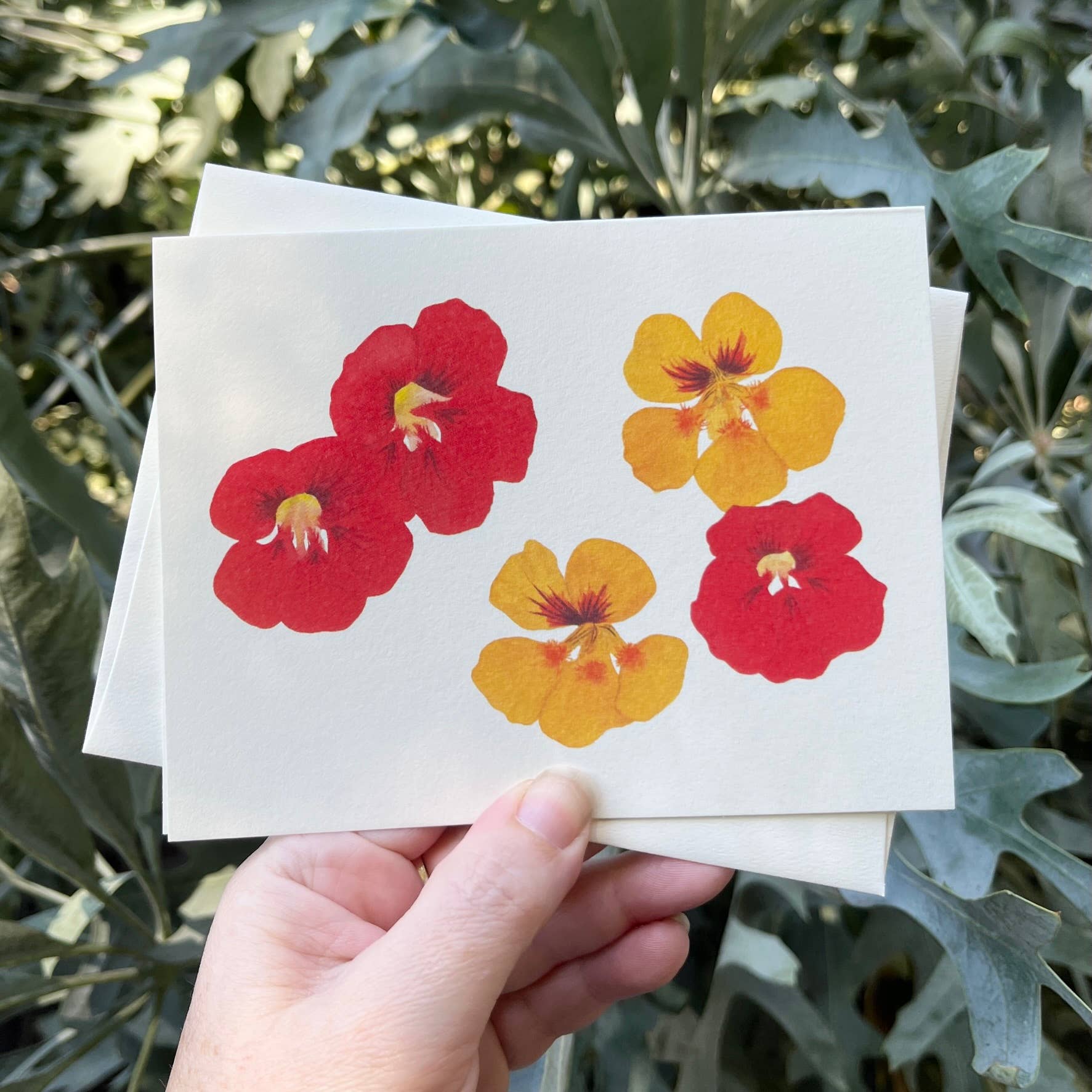 Sophie Tivona Paper - Wholesale Everyday Greeting Card - Nasturtium Watercolor Greeting Card1