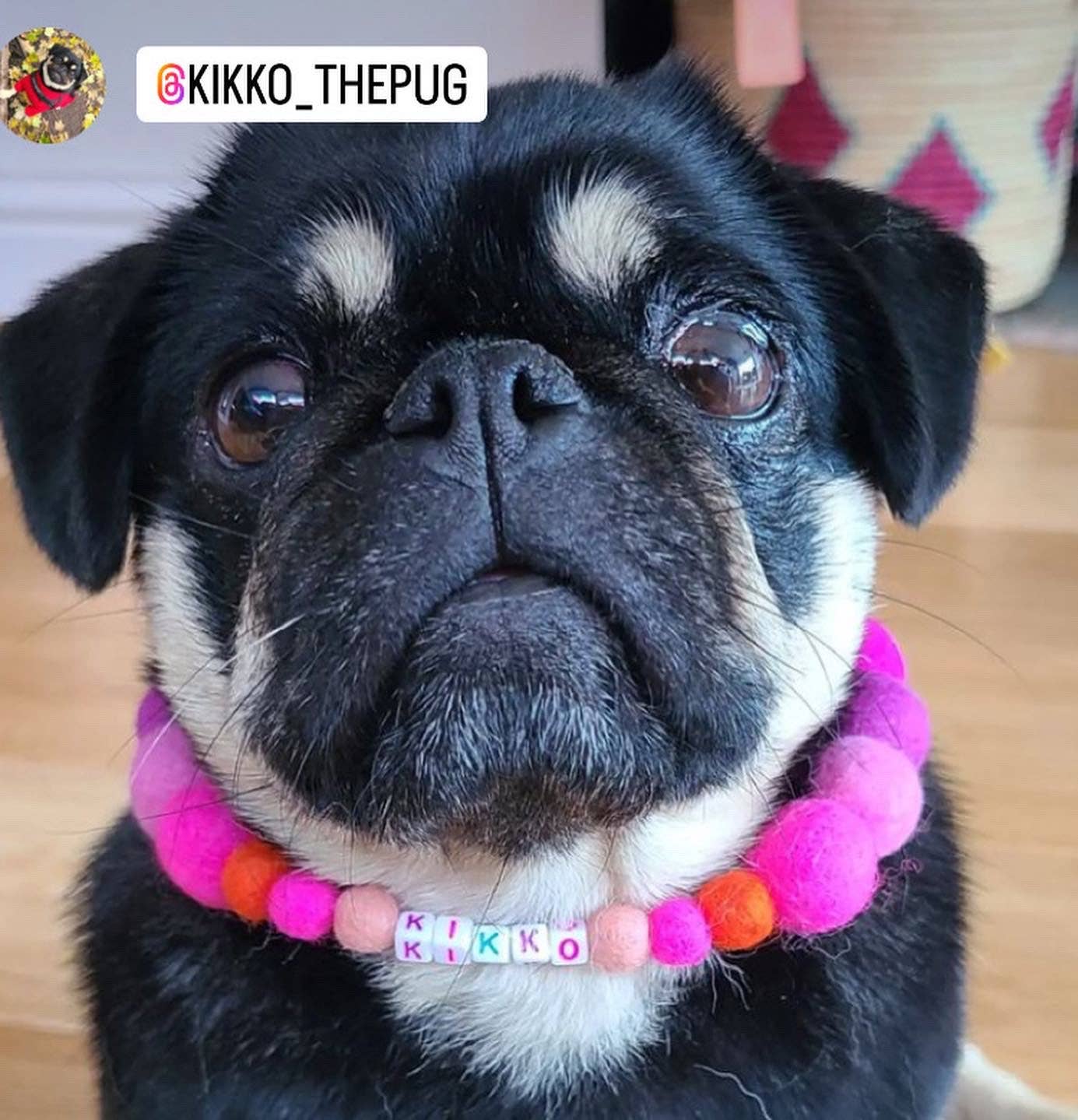 Puppies & Pom Poms - Wholesale Pet Collar - Dog - Pink - Personalised Pom Pom Dog Collar40