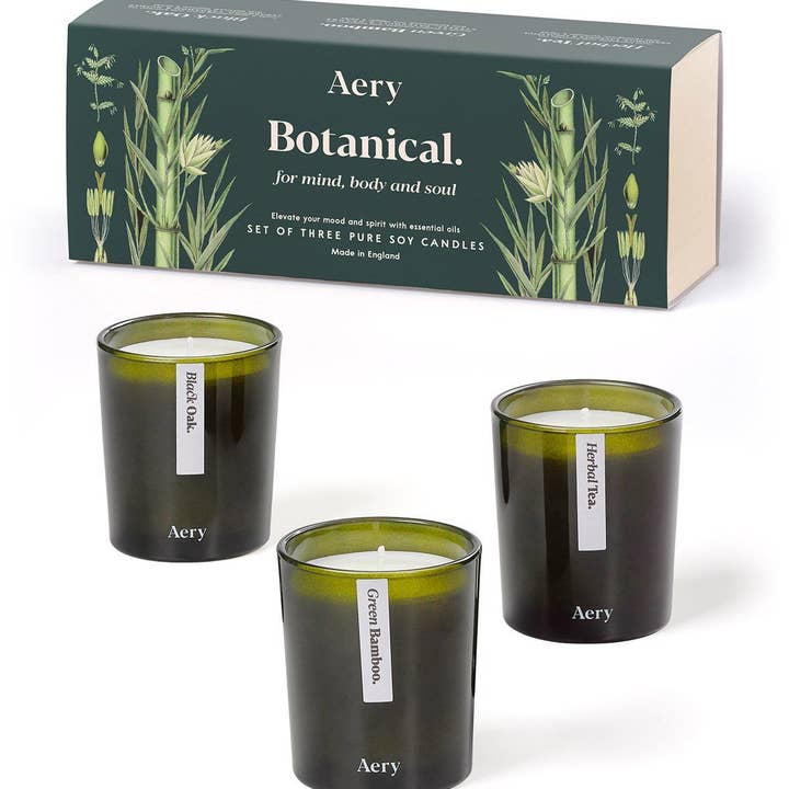 Aery Living – wholesale Burkljus – Botaniska gröna gåva uppsättning av tre - Votive ljus