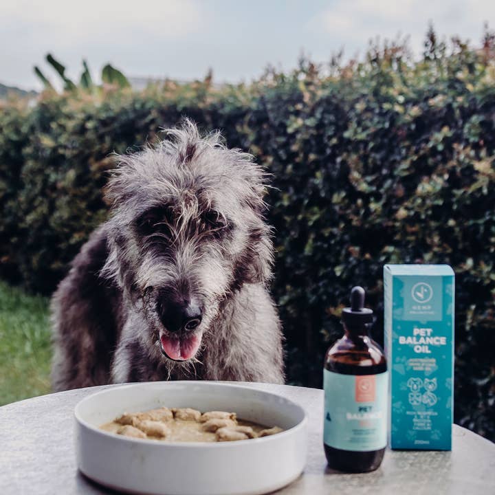 Hemp Collective – wholesale Kosttillskott för husdjur - Katt och hund – Pet Balance Oil - Hampa/Chiafröolja 200ml