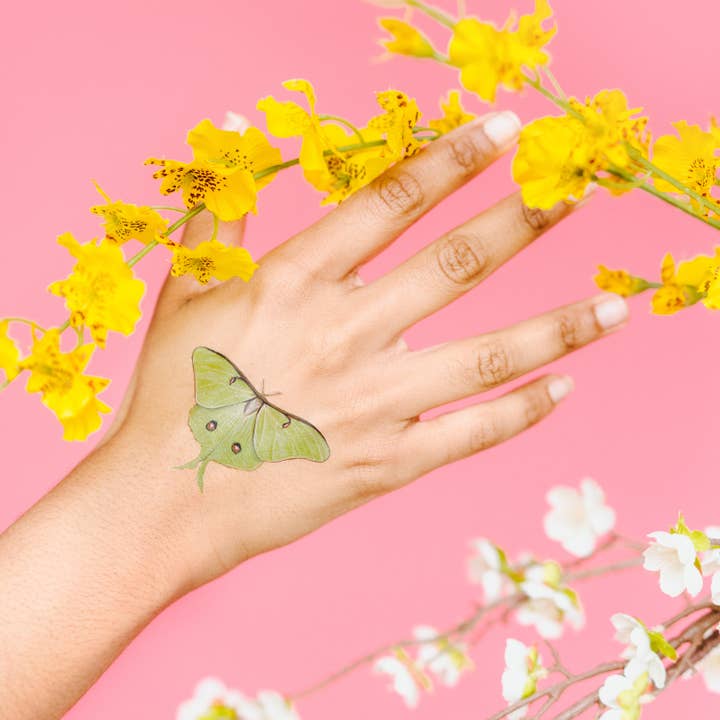 Tattly - Wholesale Temporary Tattoo - Tiny Butterfly Tattoo Tin