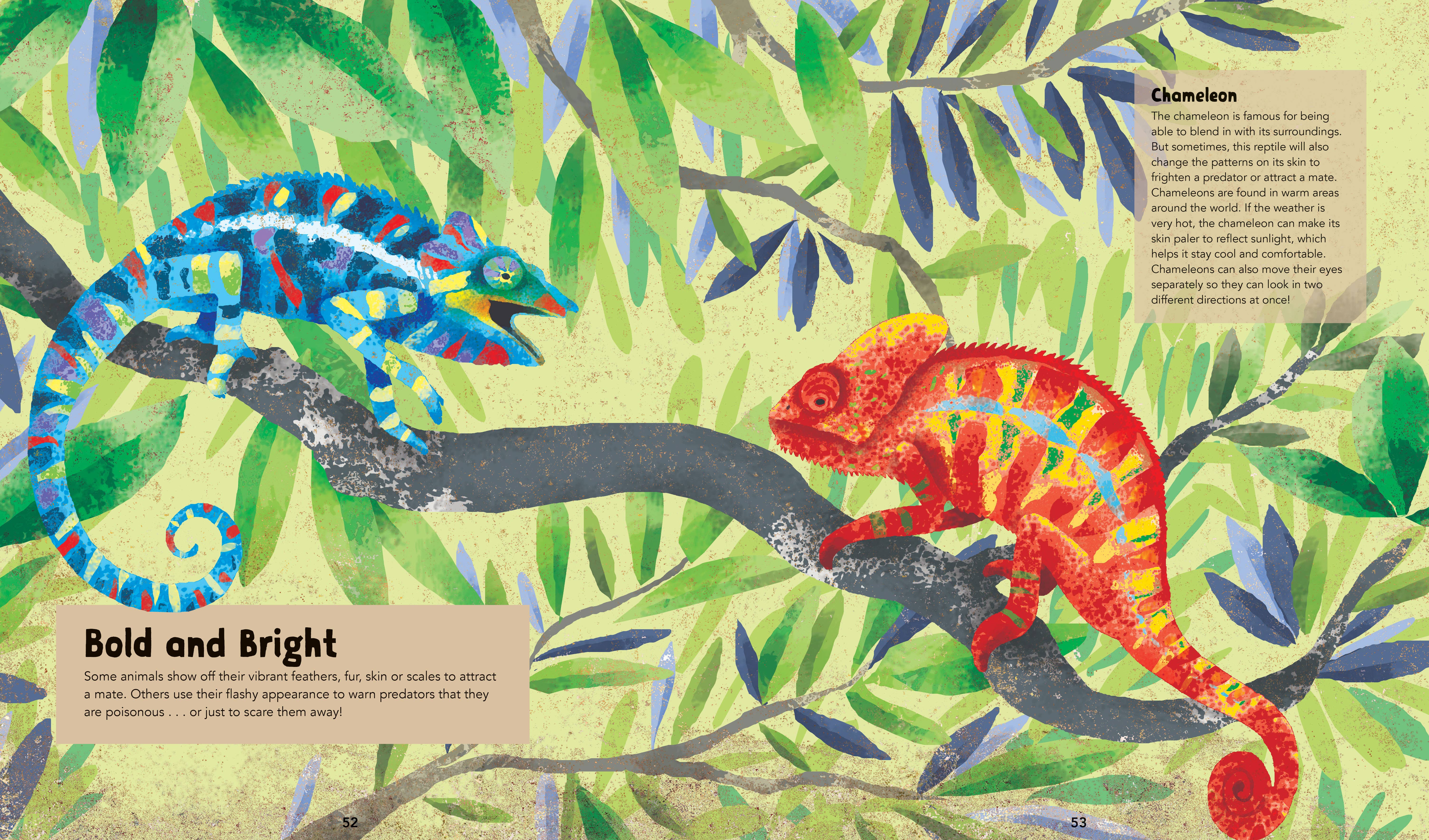 Barefoot Books - Wholesale Reference Book - Barefoot Books Incredible Animals4