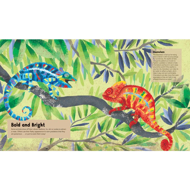 Barefoot Books - Wholesale Reference Book - Barefoot Books Incredible Animals4